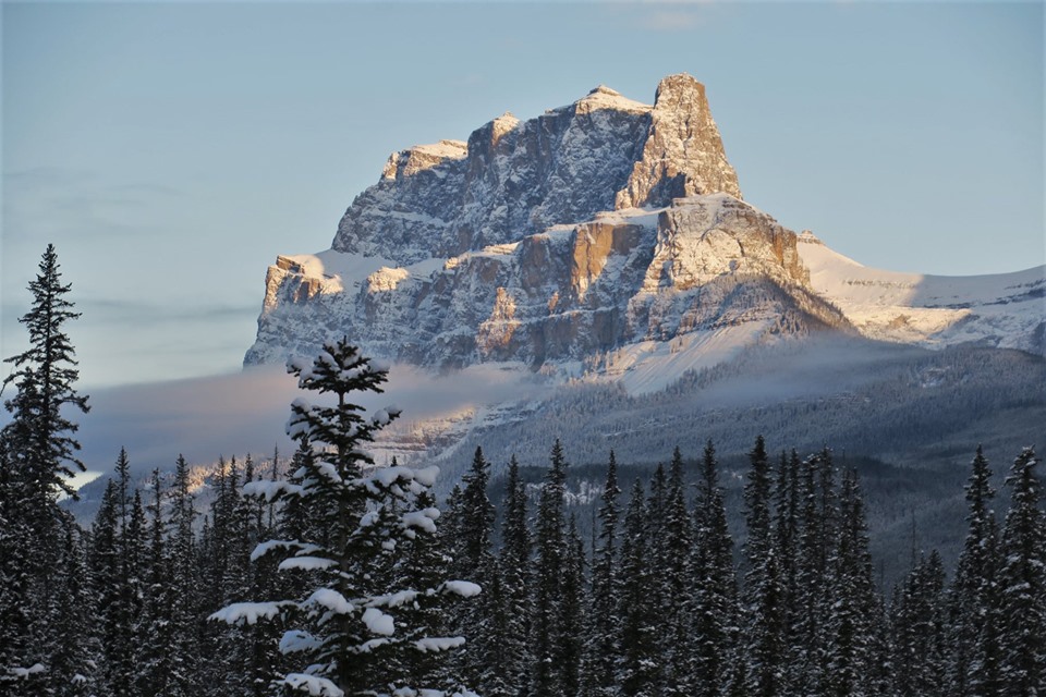 キャッスルマウンテンビューポイント